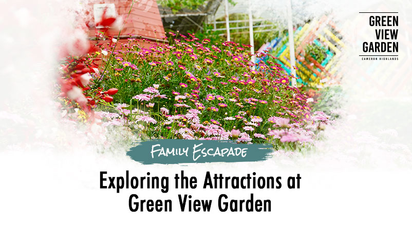 header-family-escapade-exploring-the-attractions-at-green-view-garden-06