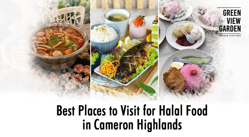Best Places to Visit for Halal Food in Cameron Highlands