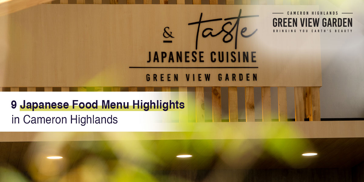 9 Japanese Food Menu Highlights in Cameron Highlands