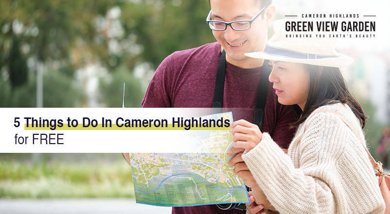 5 Things to Do In Cameron Highlands for FREE