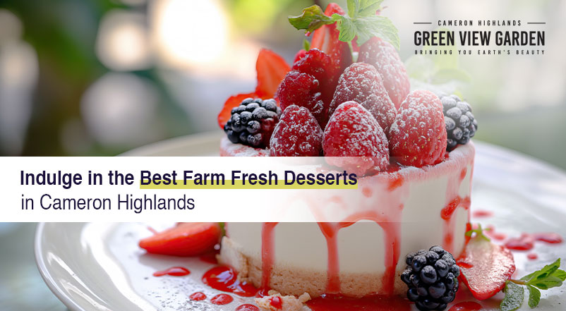 Indulge in the Best Farm Fresh Desserts in Cameron Highlands